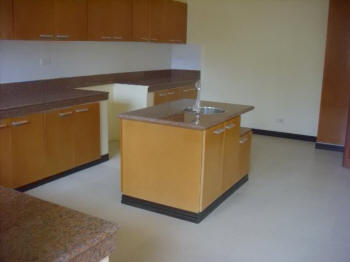 Kitchen counter and cabinets
