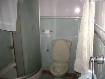 master toilet and bath