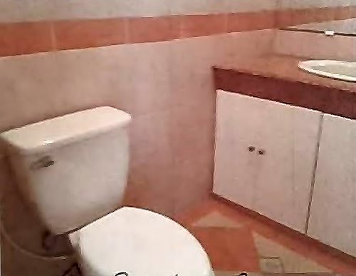 Toilet with vanity