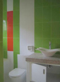 Master's bedroom toilet and bath