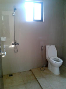 Toilet with bidet