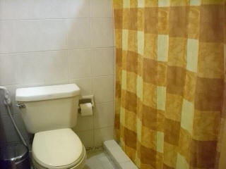 Master's bedroom toilet and bath