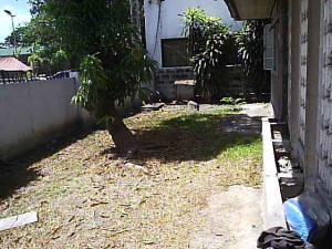 Front lawn