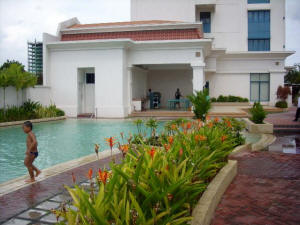 Pool area and garden