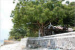 Anilao, Batangas, Philippines beach resort for sale