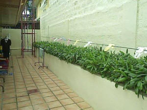 Side 2 of house