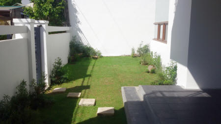 Garden in front of house