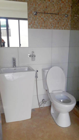 toilet and sink