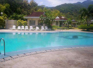 Swimming pool of the subdivision