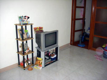 Television set